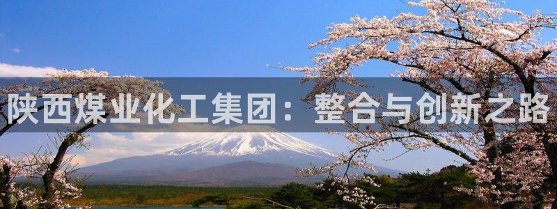 球盟会综合app下载：陕西煤业化工集团：整合与创新之路
