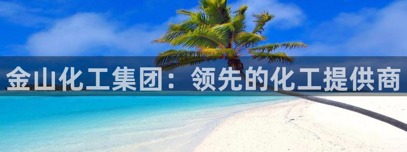 球盟会类似的网站：金山化工集团：领先的化工提供商
