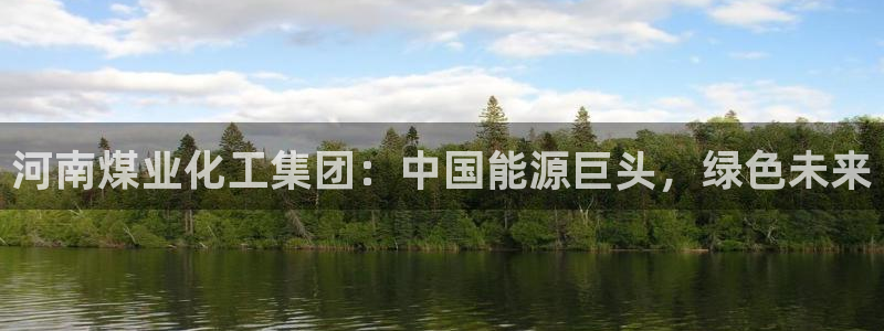 球盟会手机网页版：河南煤业化工集团：中国能源巨头，绿色未来