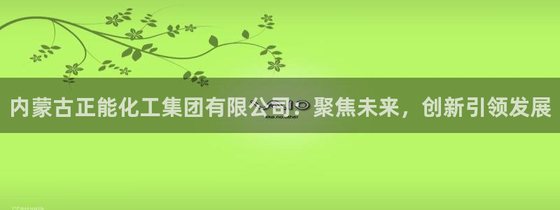 球盟会官方平台入口：内蒙古正能化工集团有限公司：聚焦未来，创