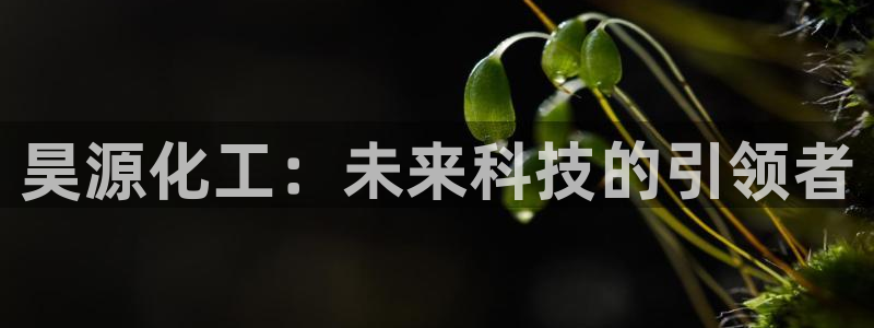 球盟会下载最新版：昊源化工：未来科技的引领者