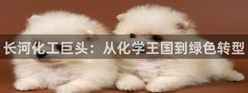 球盟会电子游戏平台