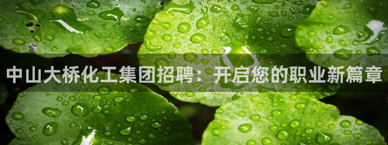 球盟会黑款吗知乎文章