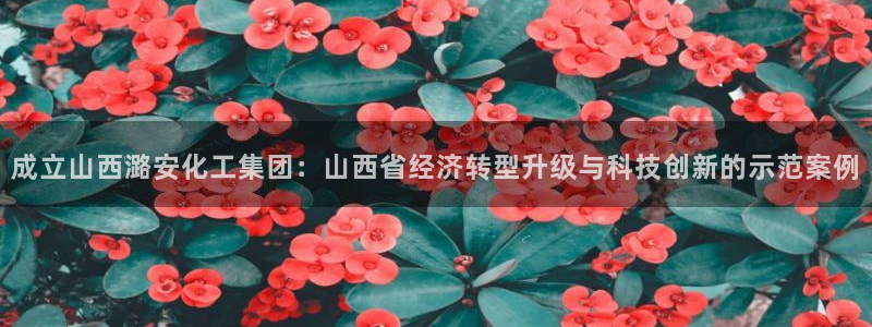 球盟会和中欧会的区别