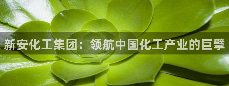 球盟会(中国)官方网站