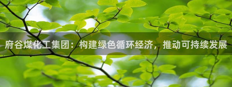 球盟会里面有打牌的嘛：府谷煤化工集团：构建绿色循环经济，推动