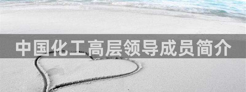 球盟会登录平台入口