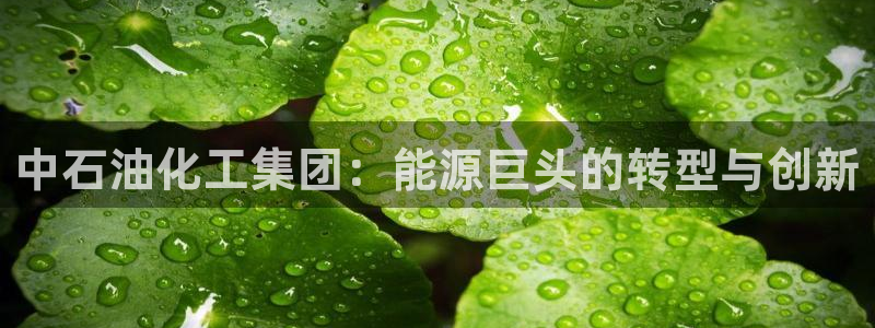 球盟会登陆中心