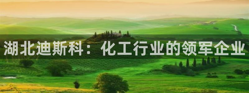 球盟会官方入口