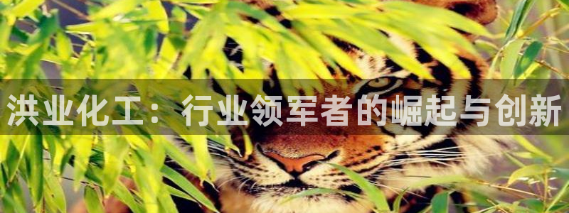 球盟会黑款吗知乎小说