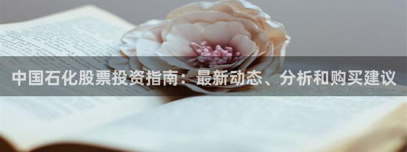 球盟会在线官网