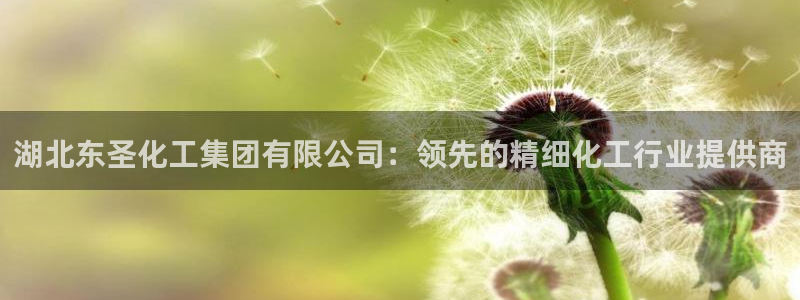 球盟会能退钱吗：湖北东圣化工集团有限公司：领先的精细化工行业