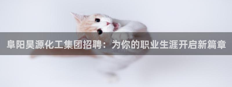 球盟会官方app首页入口