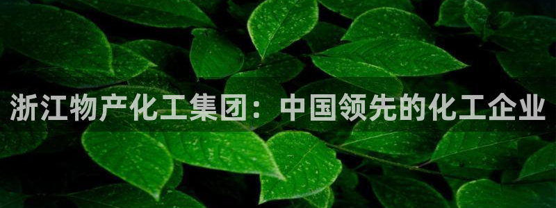 球盟会能提现吗安全吗：浙江物产化工集团：中国领先的化工企业