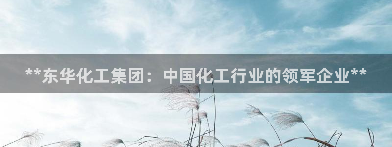 球盟会下载最新版：**东华化工集团：中国化工行业的领军企业*
