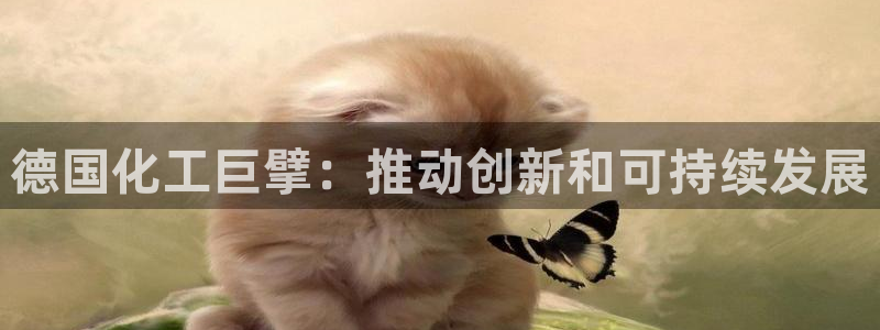 球盟会最新地址备用