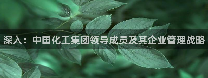 球盟会登陆中心