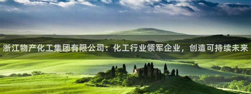球盟会有没有黑单的球员：浙江物产化工集团有限公司：化工行业领