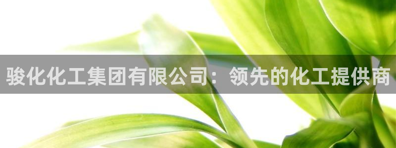 球盟会黑网：骏化化工集团有限公司：领先的化工提供商