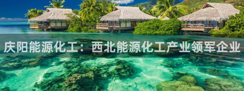 球盟会最新活动：庆阳能源化工：西北能源化工产业领军企业