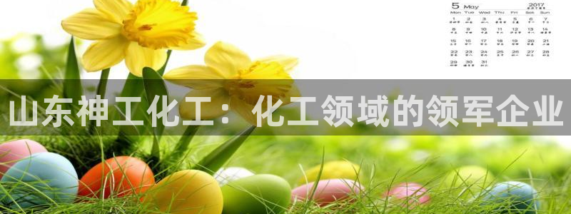 球盟会官方登录平台入口