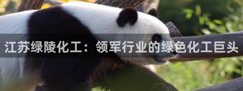 球盟会官方登录平台入口