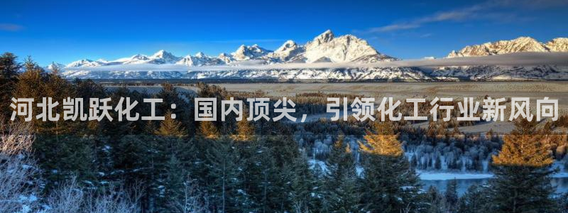 球盟会可以提现么现在