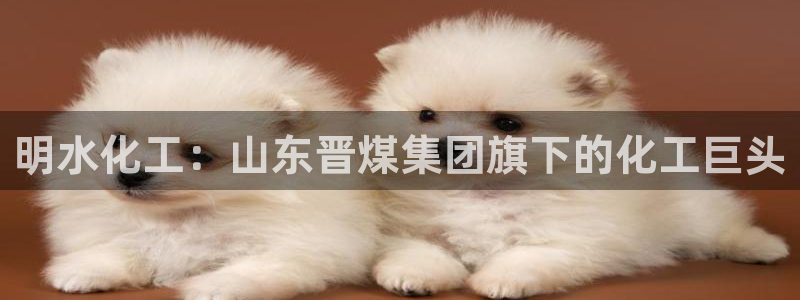 球盟会qmh网页版登录 - qm球盟会官方网站