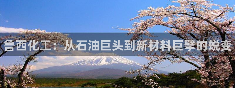 球盟会黑款吗知乎文章