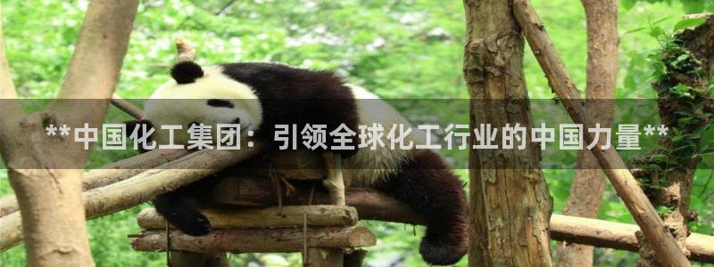球盟会黑台：**中国化工集团：引领全球化工行业的中国力量**