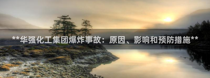 球盟会头号玩家：**华强化工集团爆炸事故：原因、影响和预防措
