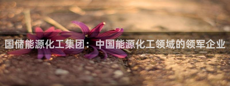 球盟会官方版下载地址：国储能源化工集团：中国能源化工领域的领