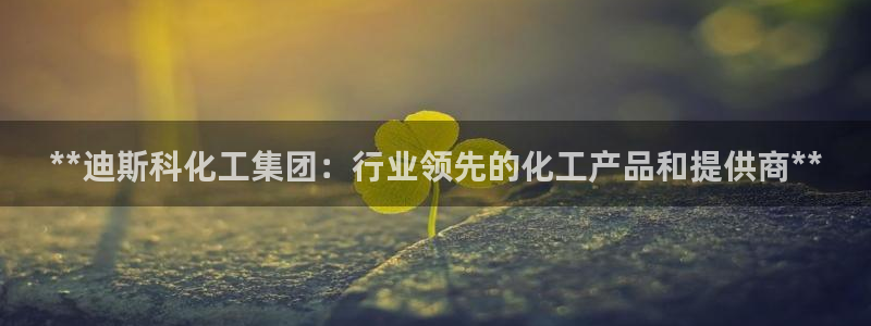 球盟会黑平台：**迪斯科化工集团：行业领先的化工产品和提供商