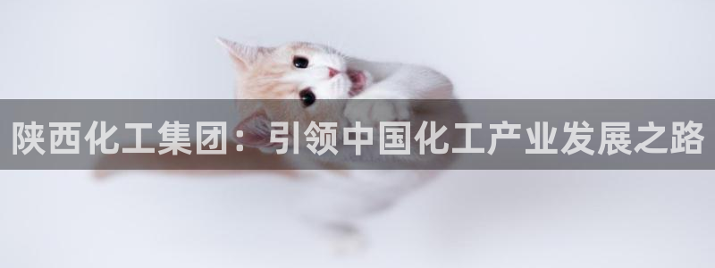 球盟会网页版登陆