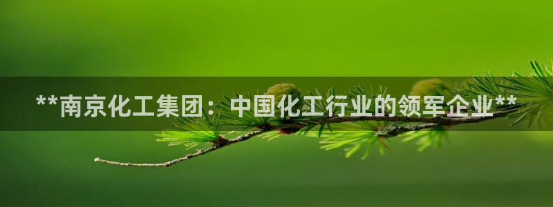 球盟会qm9：**南京化工集团：中国化工行业的领军企业**