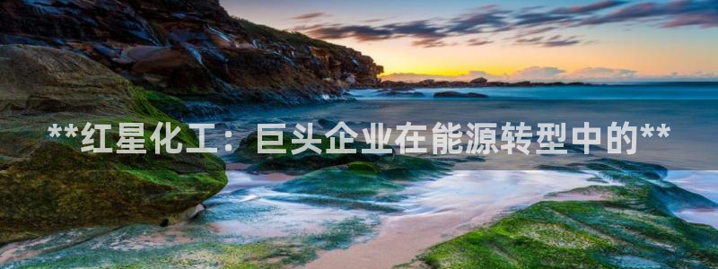 球盟会在线登入