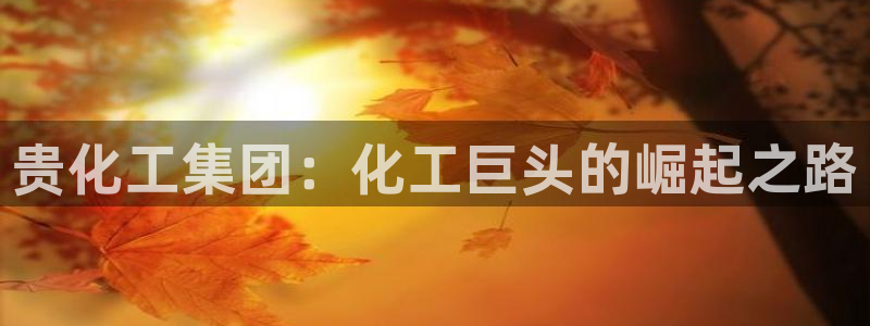 球盟会官方网入口