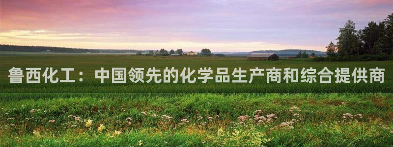 球盟会提款支付宝怎么样：鲁西化工：中国领先的化学品生产商和综