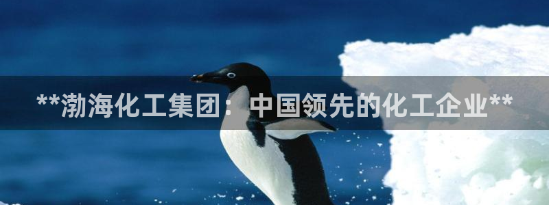 球盟会官方登录平台入口：**渤海化工集团：中国领先的化工企业
