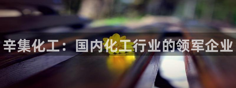 球盟会app最新地址在哪里