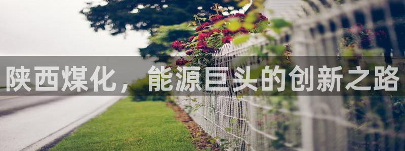 球盟会qmh登录地址