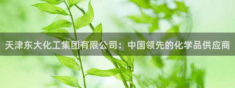 球盟会和中欧会的区别：天津东大化工集团有限公司：中国领先的化