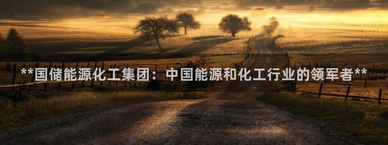球盟会app最新地址在哪里：**国储能源化工集团：中国能源和