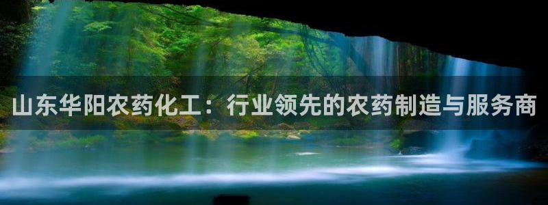 球盟会用的客服聊天是哪个软件：山东华阳农药化工：行业领先的农