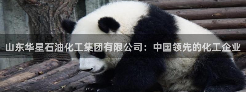 千亿球盟会：山东华星石油化工集团有限公司：中国领先的化工企业