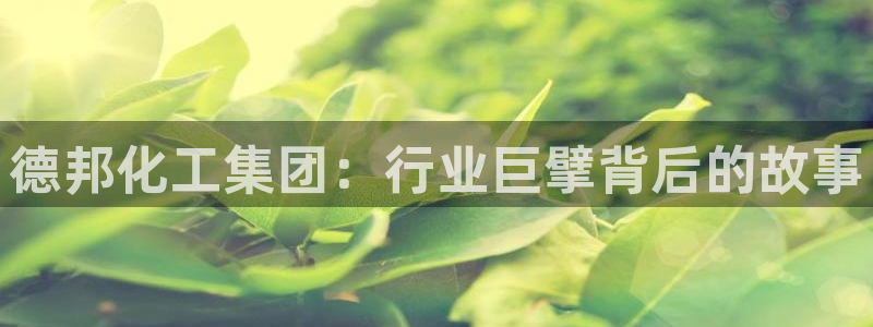 球盟会最新活动