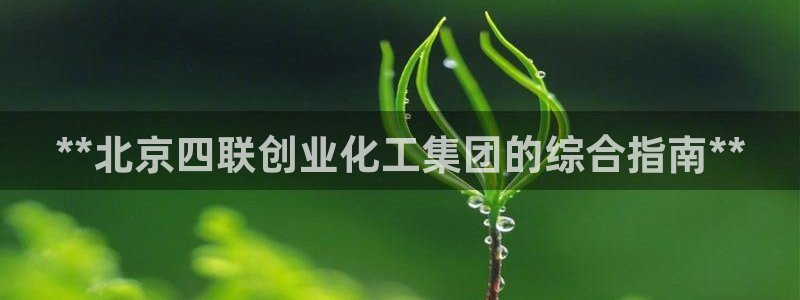 球盟会进不去：**北京四联创业化工集团的综合指南**
