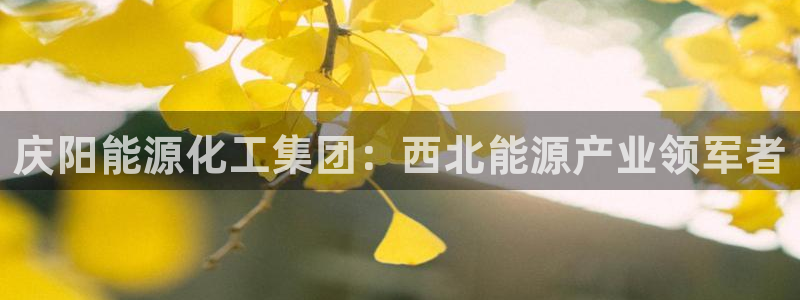 球盟会游戏几点玩合适：庆阳能源化工集团：西北能源产业领军者