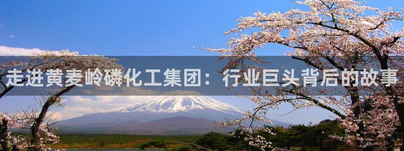 球盟会黑款吗知乎小说