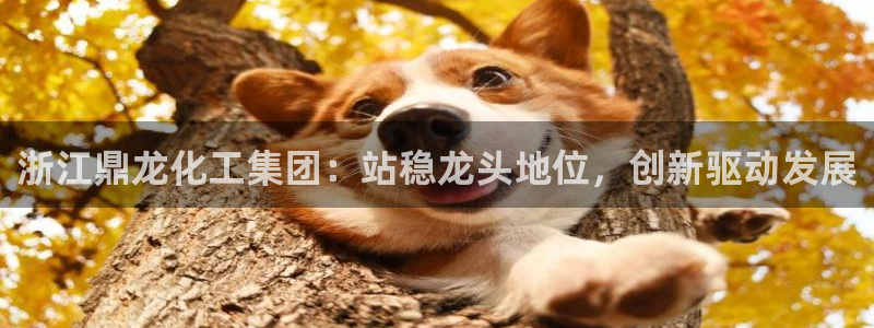 球盟会登陆入口